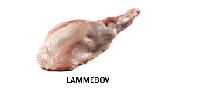 Lammebov